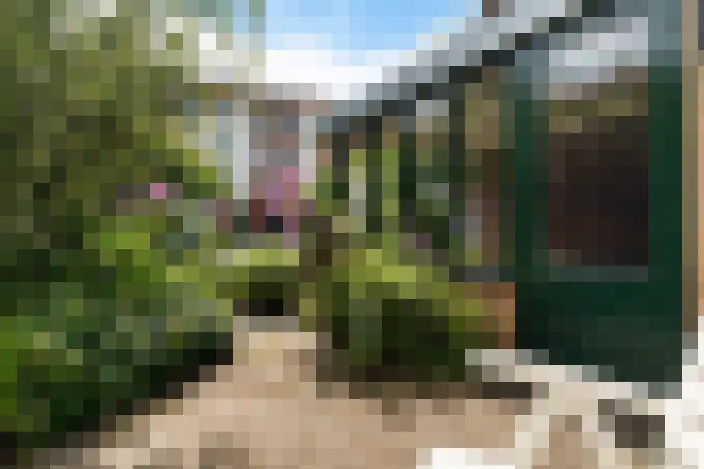 Jupiterstraat 124 Enschede thumbnail 39