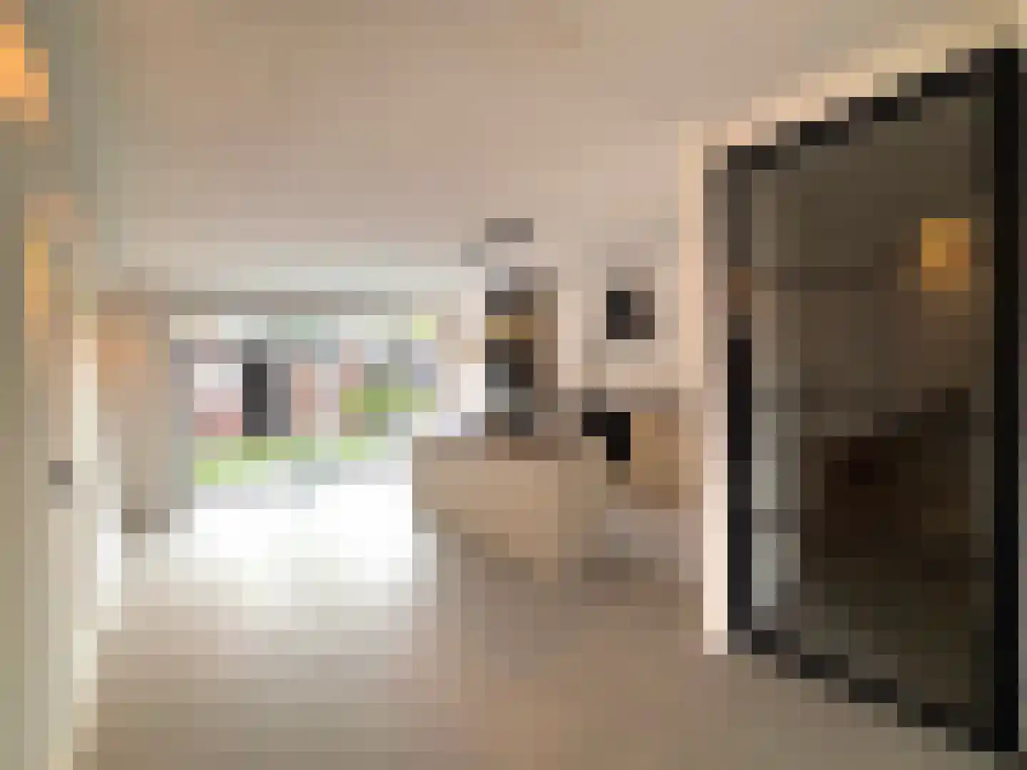 Jupiterstraat 16 Aalsmeer thumbnail 6