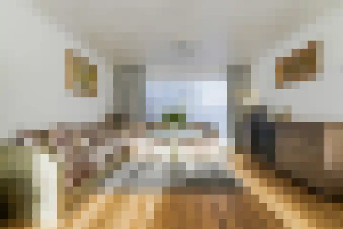 Jupiterstraat 19 Tilburg thumbnail 8