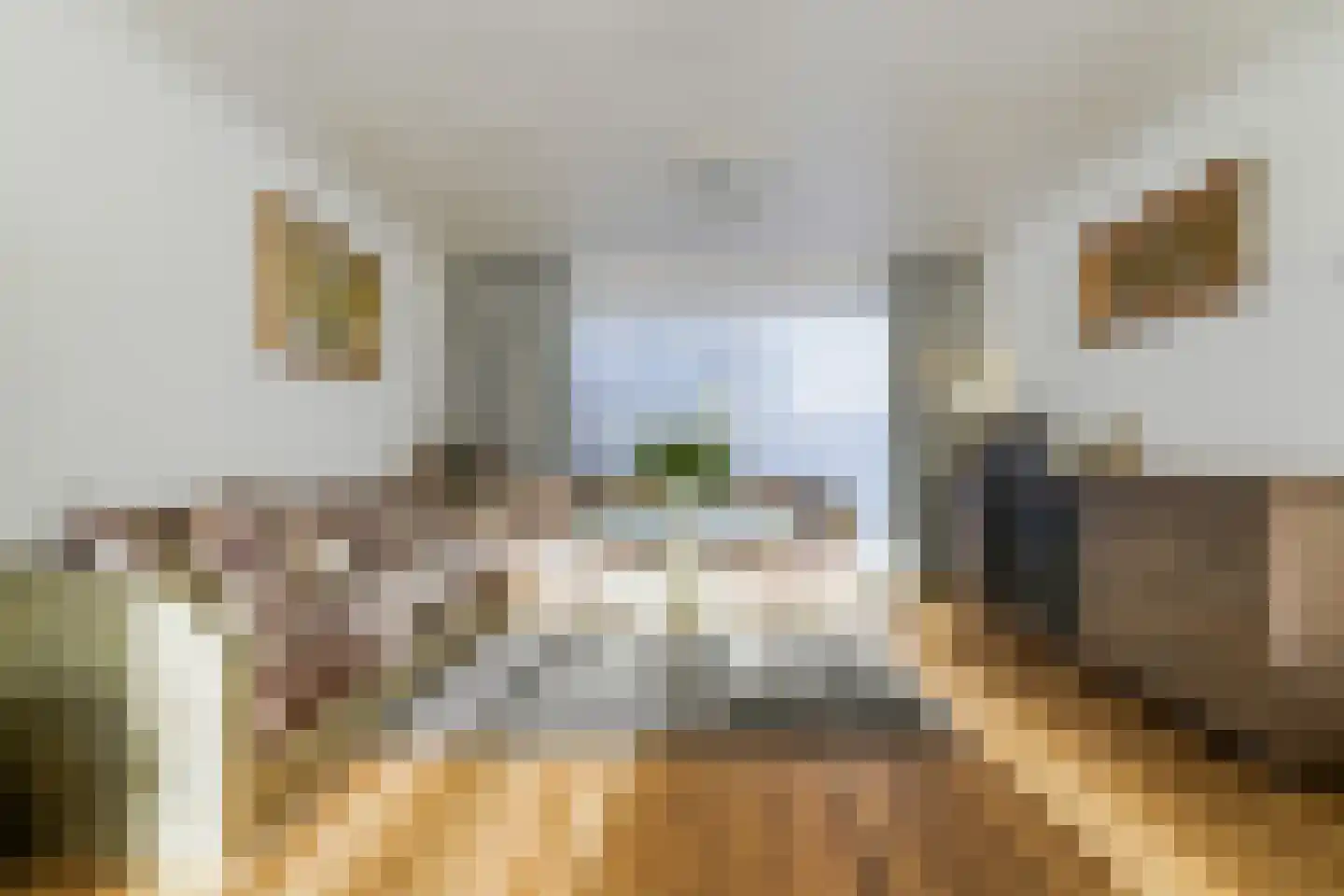 Jupiterstraat 19 Tilburg thumbnail 8
