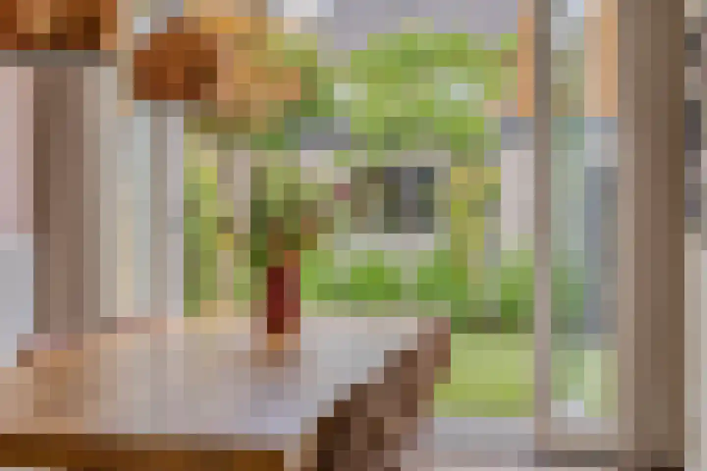 Jupiterstraat 21 Asten thumbnail 11
