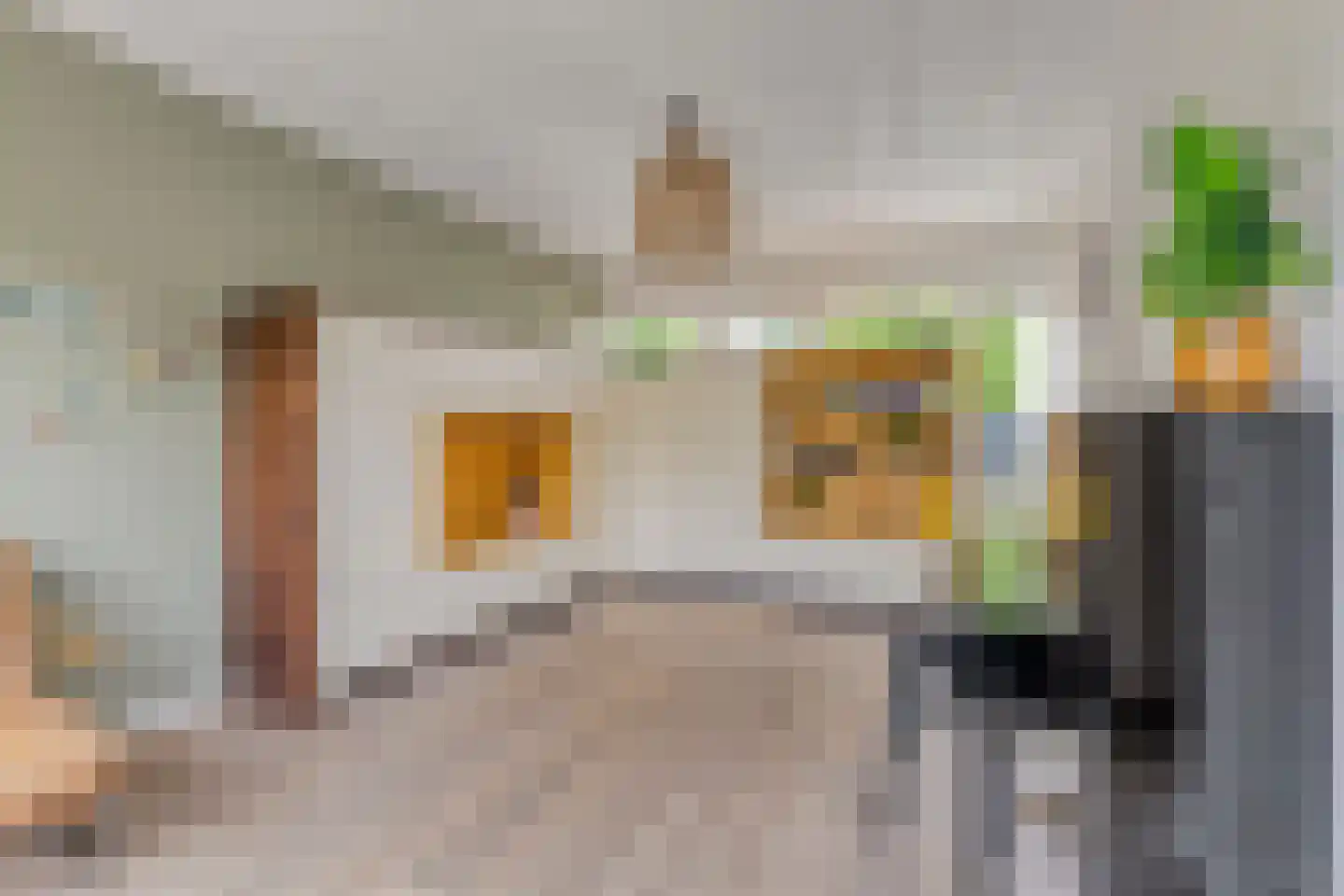 Jupiterstraat 21 Asten thumbnail 16