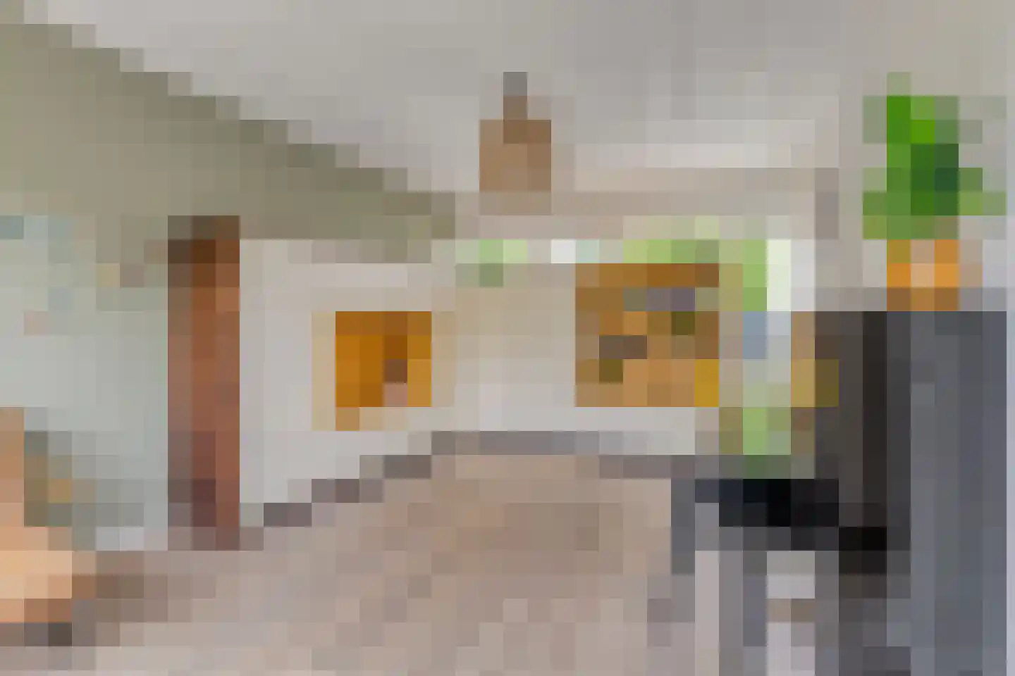 Jupiterstraat 21 Asten thumbnail 16