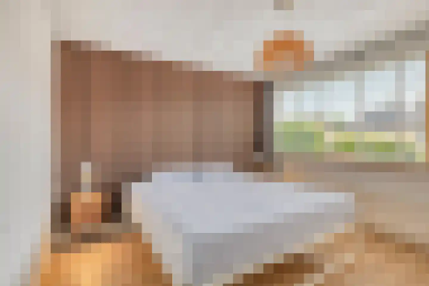 Jupiterstraat 21 Asten thumbnail 20