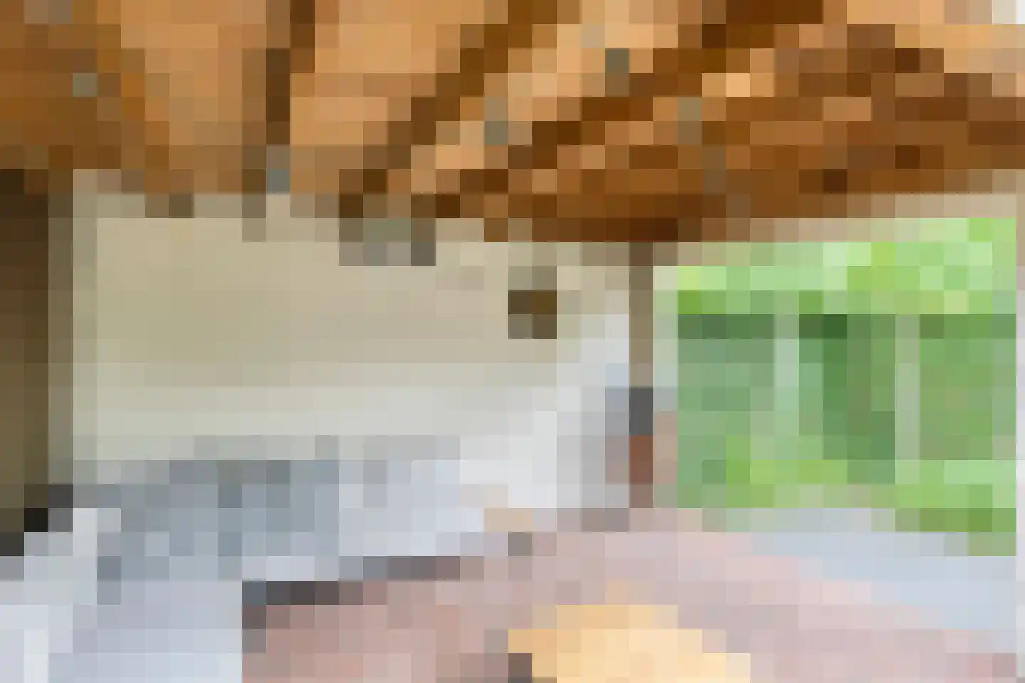 Jupiterstraat 21 Asten thumbnail 35