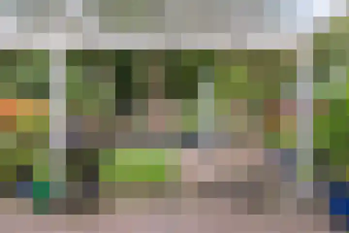 Jupiterstraat 21 Emmeloord thumbnail 32