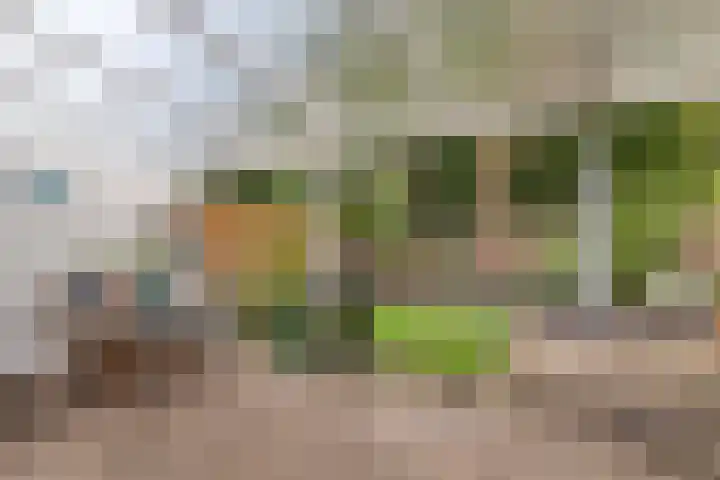 Jupiterstraat 21 Emmeloord thumbnail 33