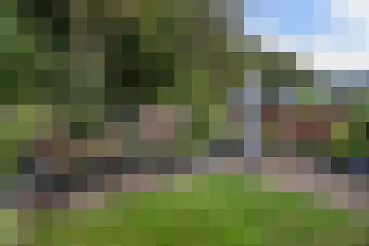 Jupiterstraat 21 Emmeloord thumbnail 35