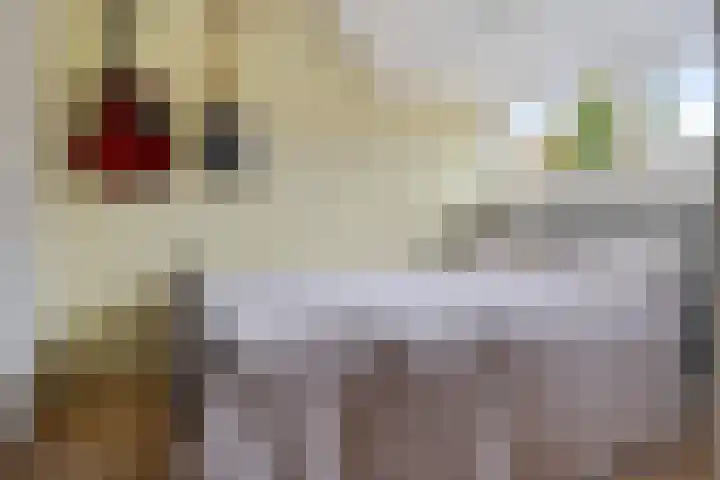 Jupiterstraat 23 Zwolle thumbnail 36
