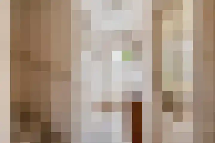 Jupiterstraat 24 Spijkenisse thumbnail 11