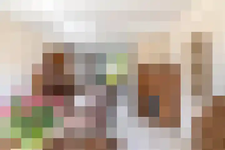 Jupiterstraat 24 Spijkenisse thumbnail 16