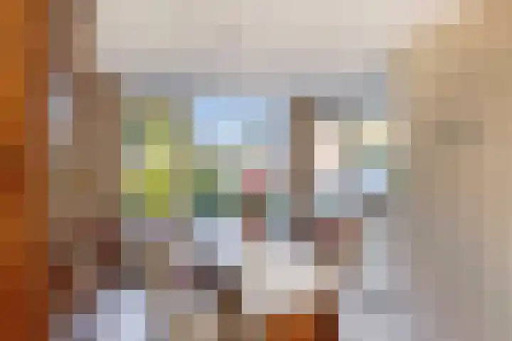 Jupiterstraat 24 Spijkenisse thumbnail 22
