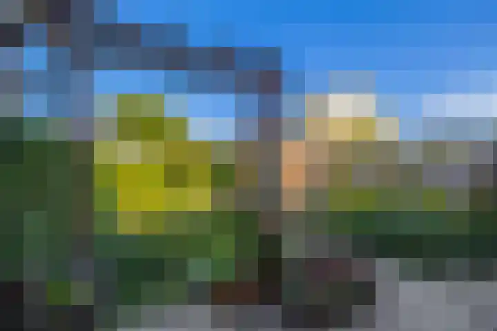 Jupiterstraat 24 Spijkenisse thumbnail 34