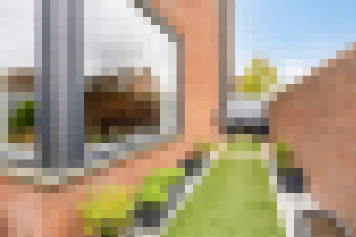 Jupiterstraat 26 Zwijndrecht thumbnail 44
