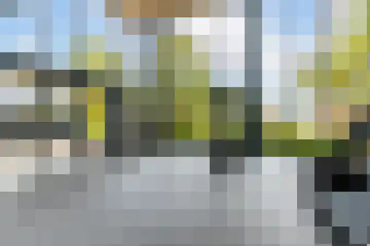 Jupiterstraat 264 Rotterdam thumbnail 46