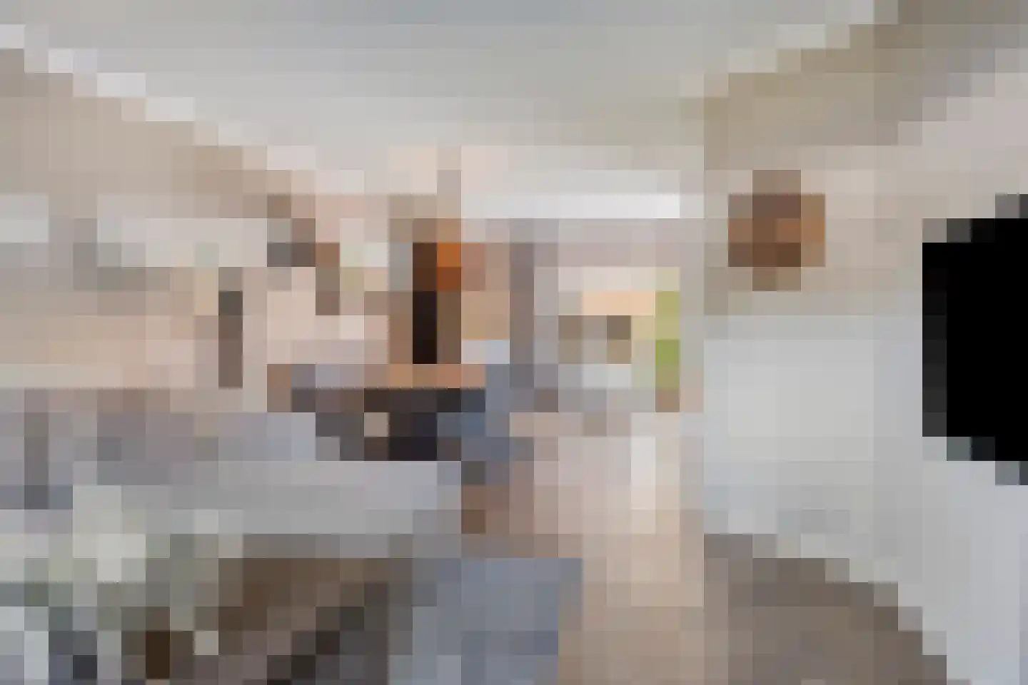 Jupiterstraat 27 Borne thumbnail 14