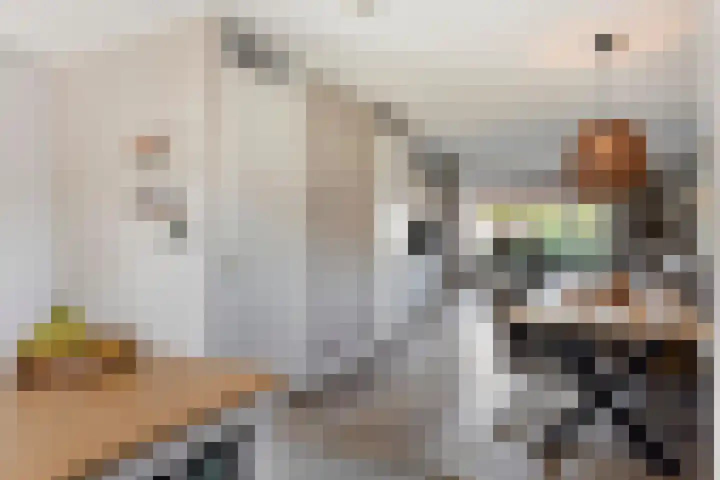 Jupiterstraat 27 Borne thumbnail 18
