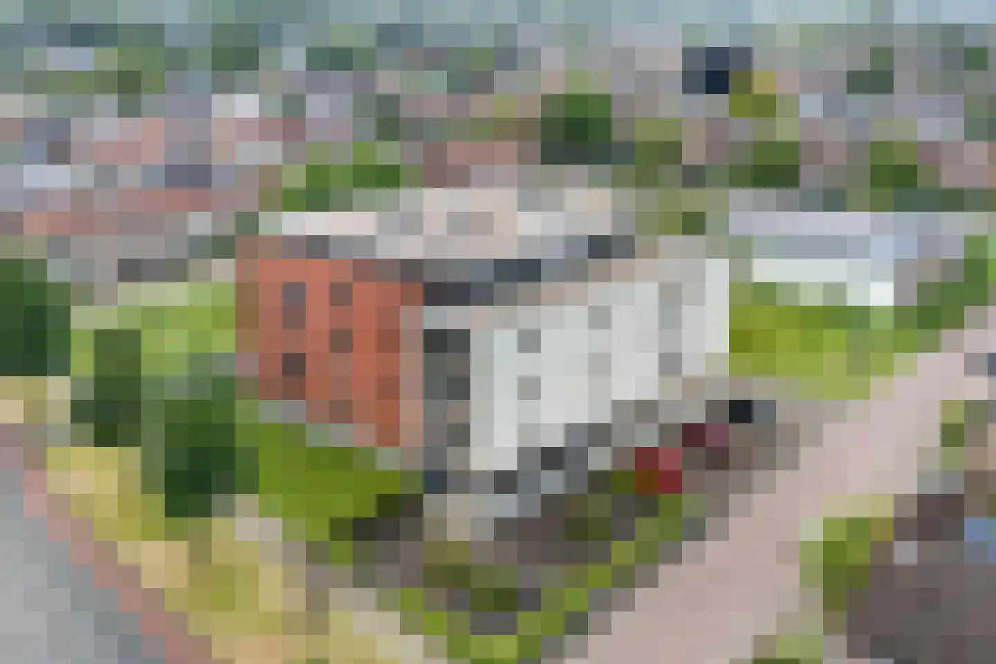 Jupiterstraat 31 Nijmegen thumbnail 40