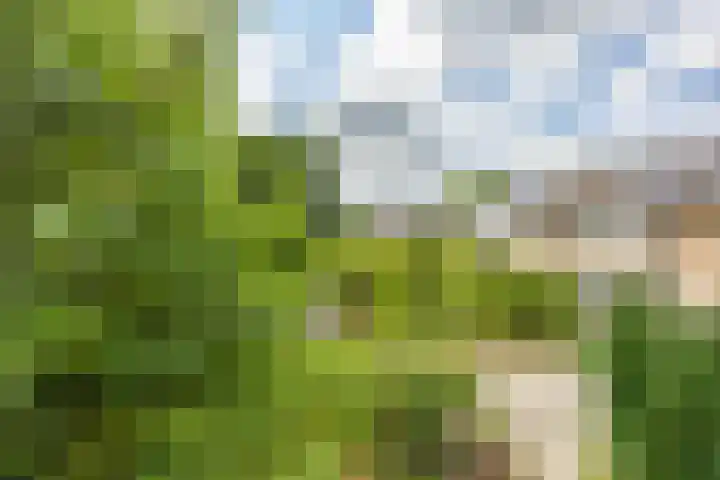 Jupiterstraat 35 Groningen thumbnail 33