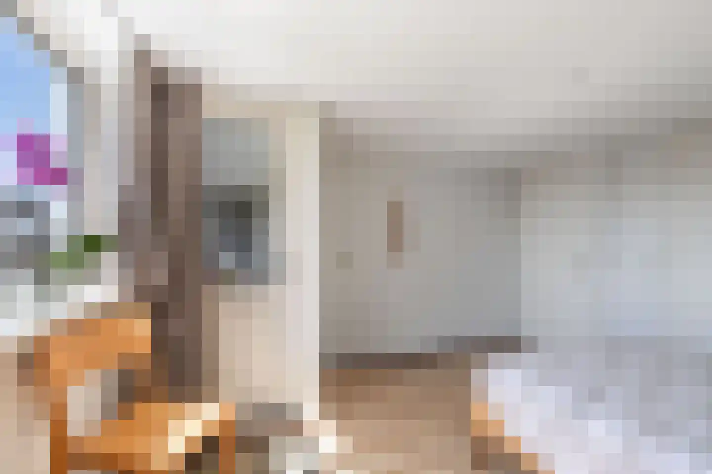 Jupiterstraat 36 Emmeloord thumbnail 37