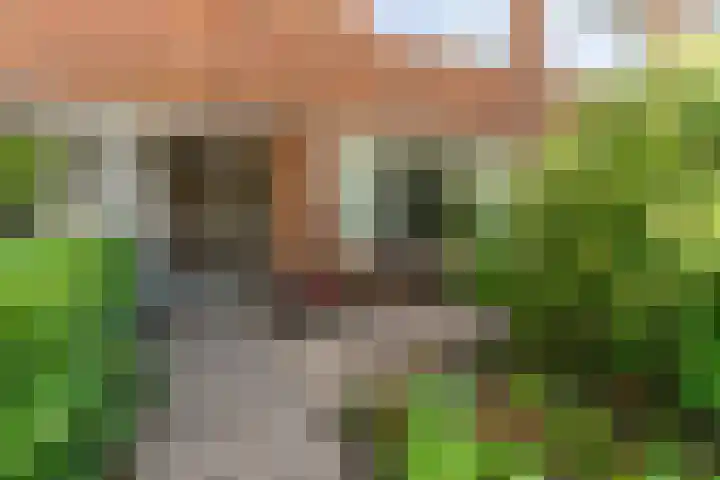 Jupiterstraat 37 Aalsmeer thumbnail 4