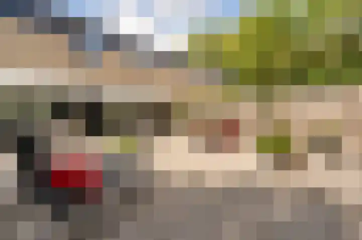 Jupiterstraat 37 Emmeloord thumbnail 34