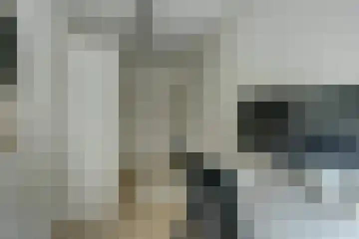 Jupiterstraat 4 Nijmegen thumbnail 23