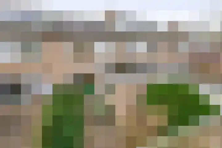 Jupiterstraat 43 Groningen thumbnail 32