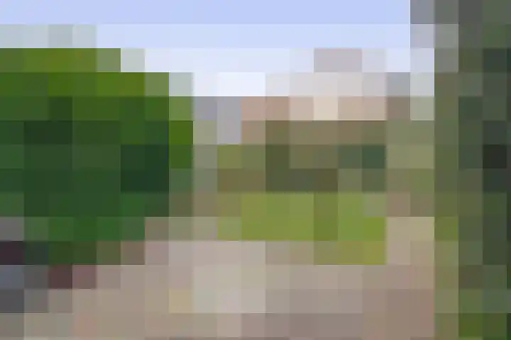 Jupiterstraat 43 Groningen thumbnail 37