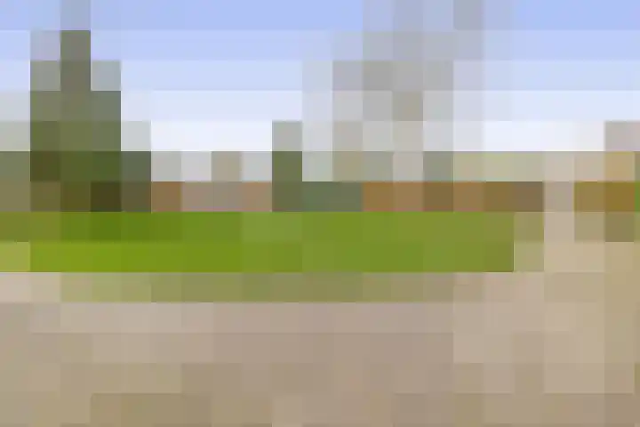 Jupiterstraat 43 Groningen thumbnail 38