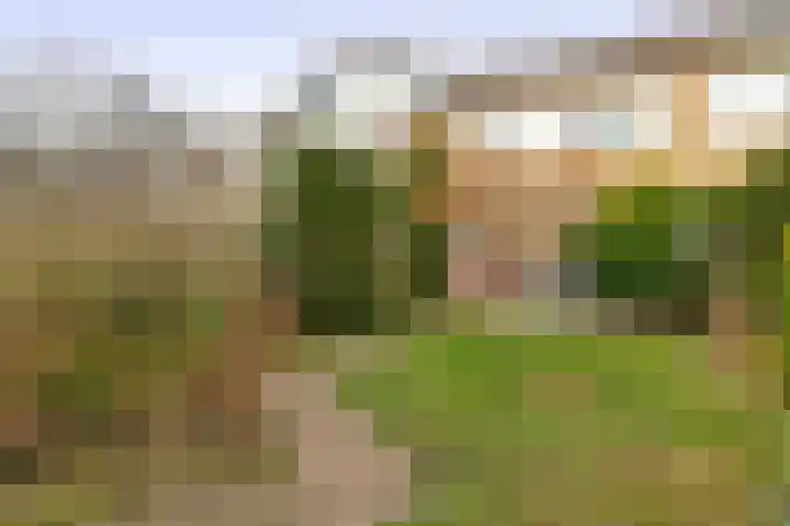 Jupiterstraat 43 Groningen thumbnail 6