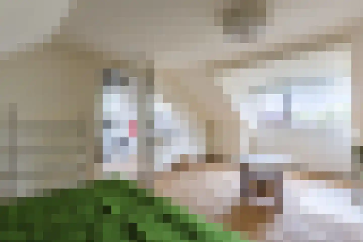 Jupiterstraat 56 Krommenie thumbnail 25