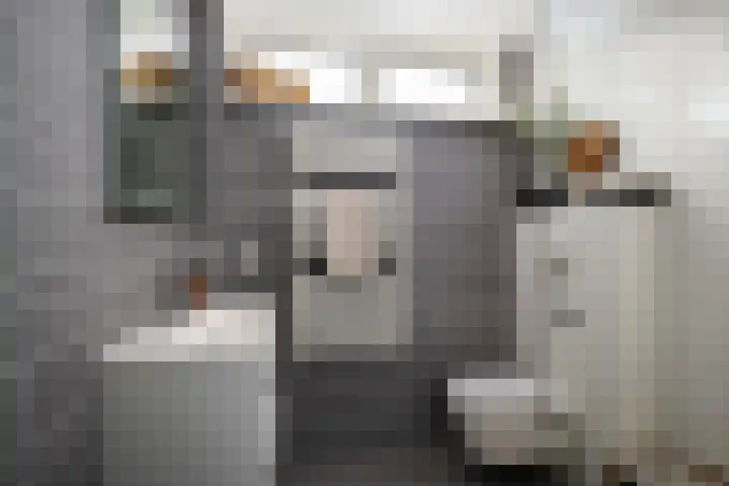 Jupiterstraat 6 Spijkenisse thumbnail 20