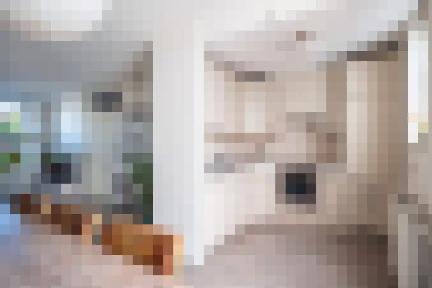 Jupiterstraat 7 Sittard thumbnail 23
