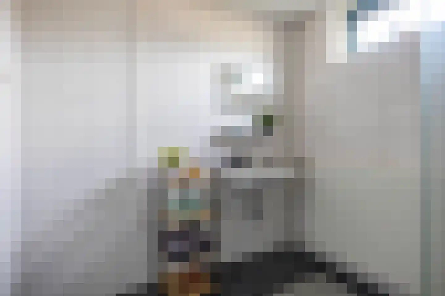 Jupiterstraat 8 Groningen thumbnail 35