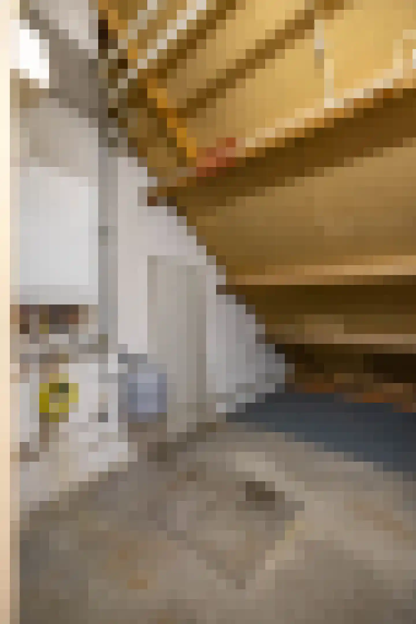 Jupiterstraat 8 Groningen thumbnail 37