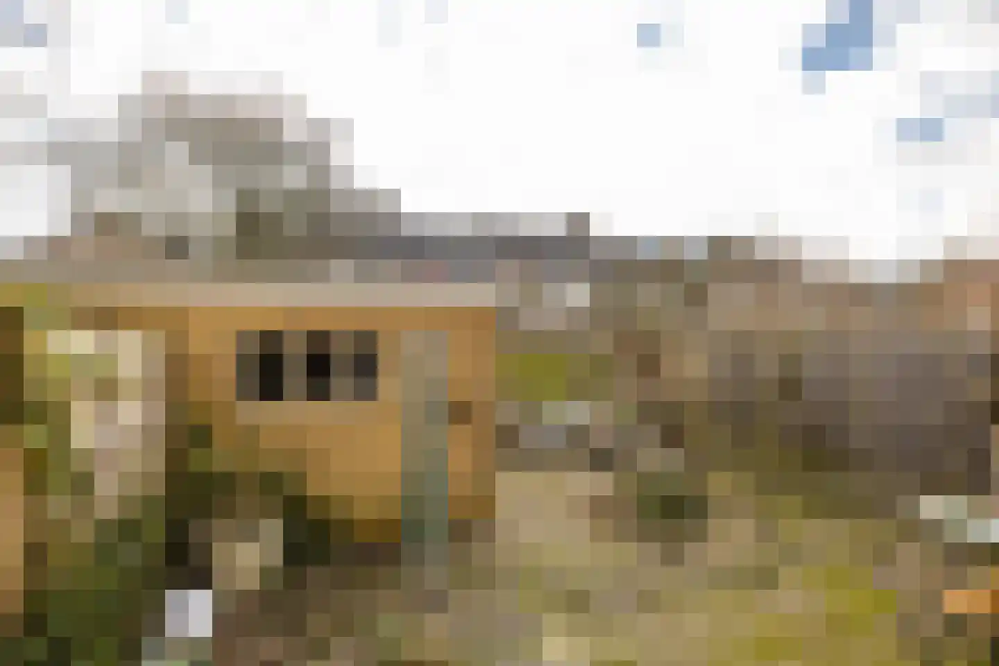 Jupiterstraat 8 Groningen thumbnail 43