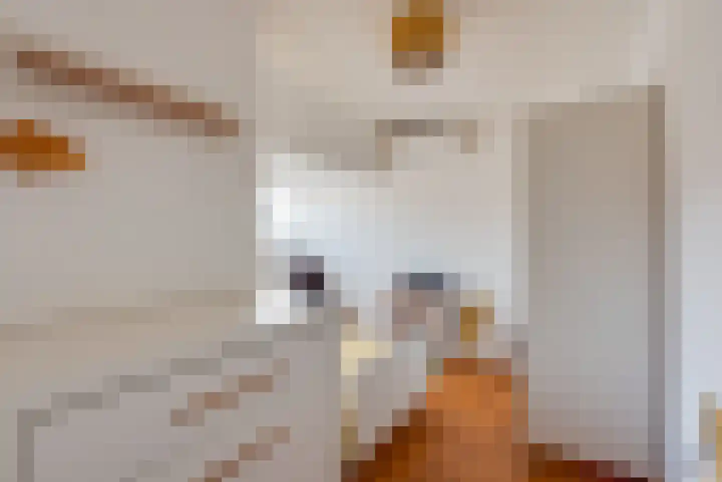 Jupiterstraat 8 Hilversum thumbnail 21