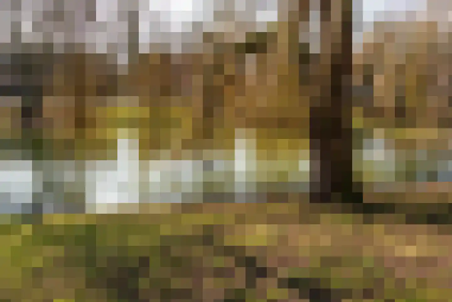 Jupiterstraat 8 Hilversum thumbnail 33