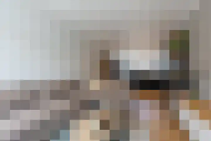 Jupiterstraat 86 Brunssum thumbnail 12