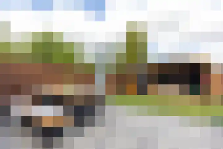 Jupiterstraat 86 Brunssum thumbnail 21