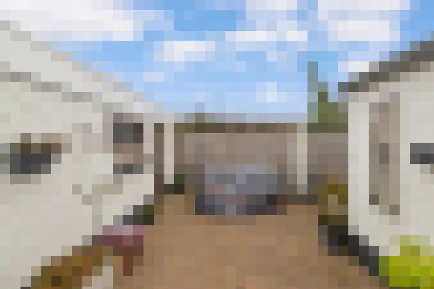 Jupiterstraat 88 Geleen thumbnail 27