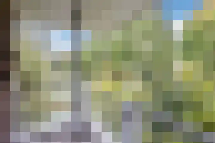 Jupiterweg 1 Culemborg thumbnail 35