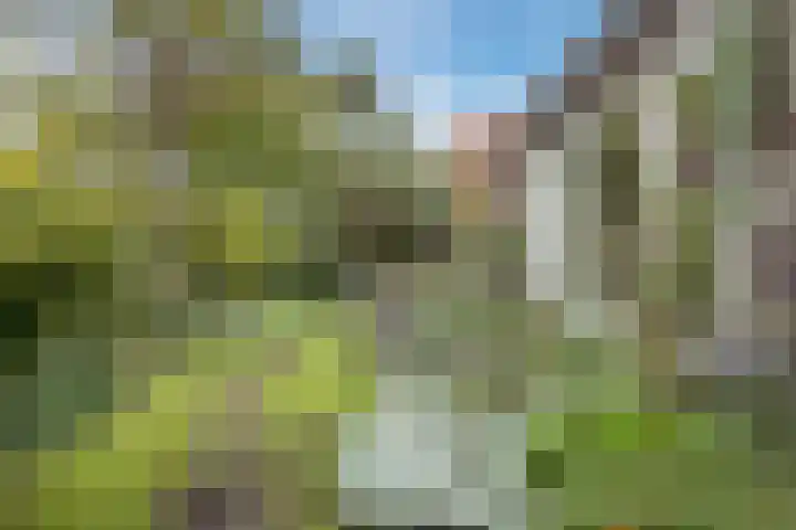 Jupiterweg 1 Culemborg thumbnail 41