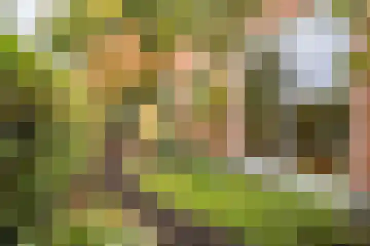 Jupiterweg 1 Culemborg thumbnail 44