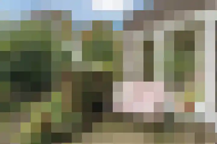 Jupiterweg 1 Culemborg thumbnail 45
