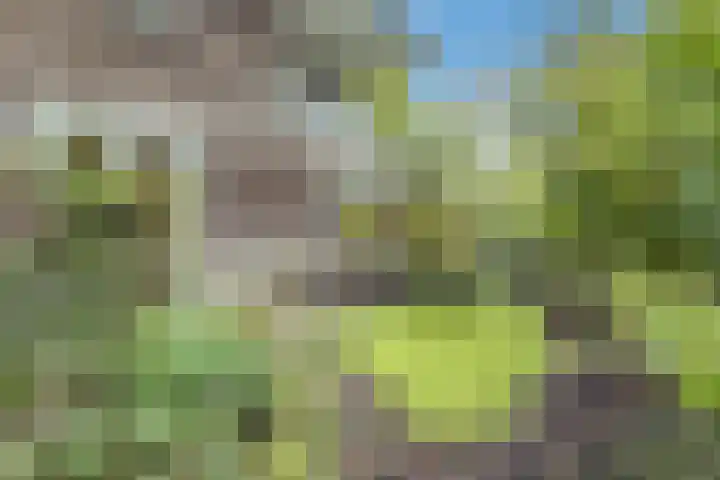 Jupiterweg 1 Culemborg thumbnail 48