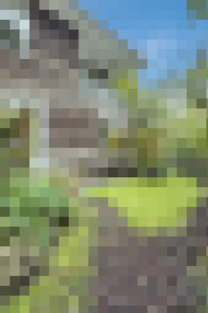 Jupiterweg 1 Culemborg thumbnail 50