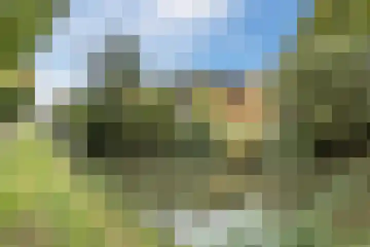 Jupiterweg 1 Culemborg thumbnail 53