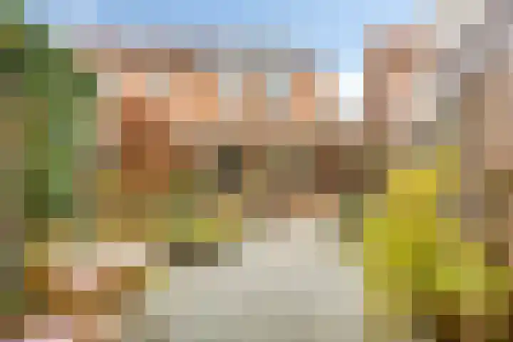 Jupiterweg 40 Oss thumbnail 42
